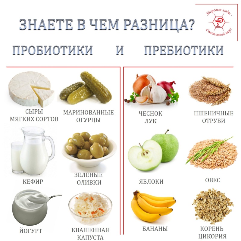 Пробиотики и пребиотики: разница и когда что принимать?