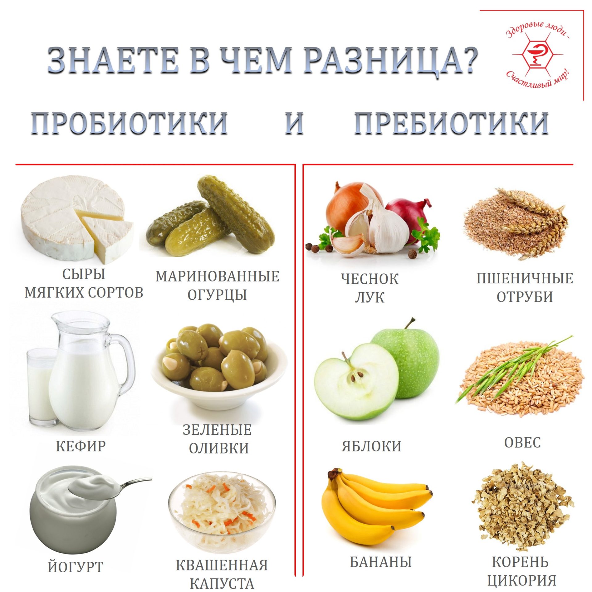 Пробиотики и пребиотики: разница и когда что принимать?