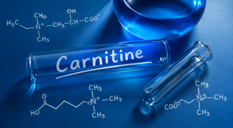 лучший l carnitine L-карнитин в комплексе: выгодные цены и проверенные сочетания для результата